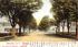 Maple Avenue Ellenville, New York Postcard