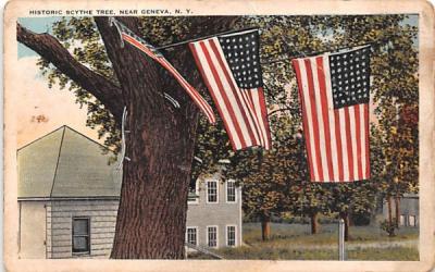 Historic Scythe Tree Geneva, New York Postcard