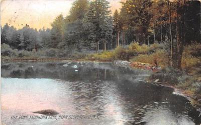 Lily Pond Gloversville, New York Postcard