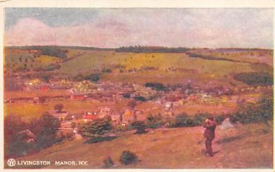 View of Livingston Manor, New York Postcard