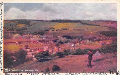 View Of Livingston Manor, New York Postcard