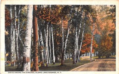 Drive among the birches Lake George, New York Postcard