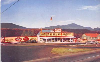 Sterling Mink Farm Lake Placid, New York Postcard