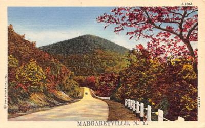 Catskill Mountains Margaretville, New York Postcard