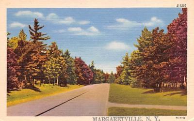 Catskill Mountains Margaretville, New York Postcard