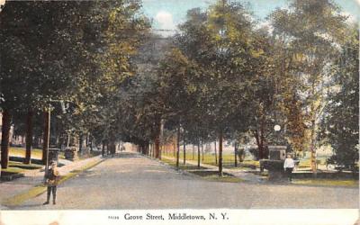 Grove Street Middletown, New York Postcard