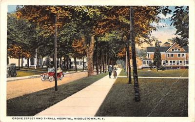 Grove Street Middletown, New York Postcard