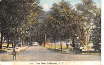 Grove Street Middletown, New York Postcard