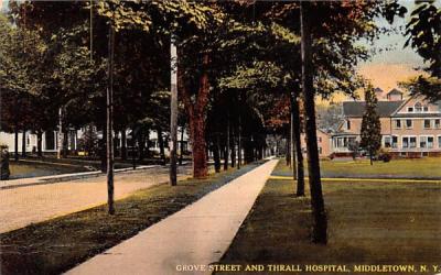 Grove Street Middletown, New York Postcard