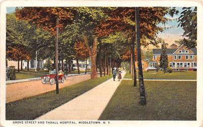 Grove Street Middletown, New York Postcard