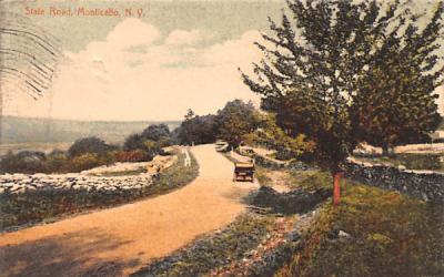 State Road Monticello, New York Postcard