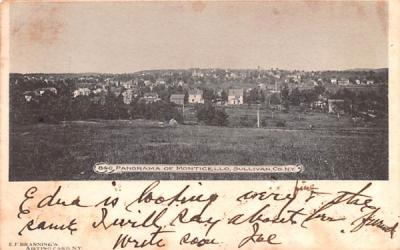 Panorama Monticello, New York Postcard