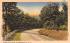 Greetings from Margaretville, New York Postcard