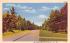 Catskill Mountains Margaretville, New York Postcard