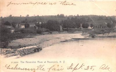 The Neversink River New York Postcard