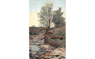 The Babbling Brook Otisville, New York Postcard