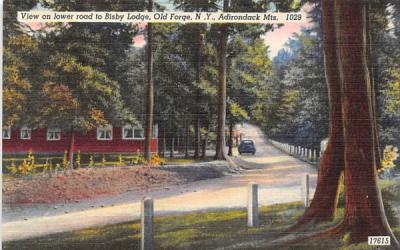 Bisby Lodge Old Forge, New York Postcard