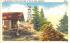 Fire Warden's Tower & Cabin Otter Lake, New York Postcard