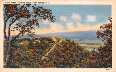 Point Peter Port Jervis, New York Postcard