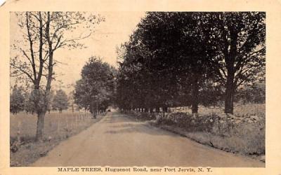 Maple Trees Port Jervis, New York Postcard