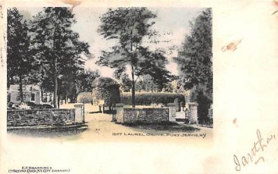 Larel Grive Port Jervis, New York Postcard