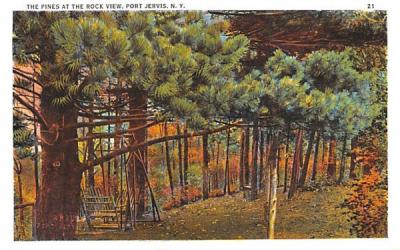 Pines at the Rock View Port Jervis, New York Postcard