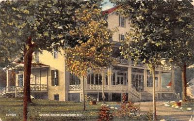 Spring House Port Jervis, New York Postcard