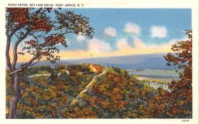 Point Peter Port Jervis, New York Postcard