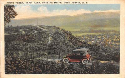 Point Peter Port Jervis, New York Postcard