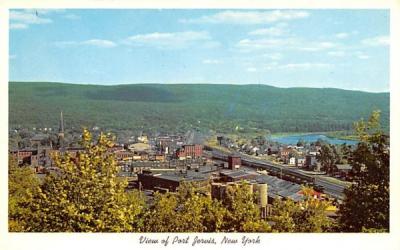 Birds Eye View Port Jervis, New York Postcard