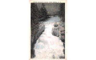 Upper Mongaup Falls Port Jervis, New York Postcard