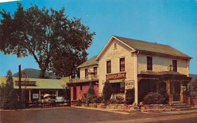 Country Store Port Jervis, New York Postcard