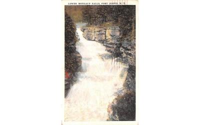 Lower Mongaup Falls Port Jervis, New York Postcard