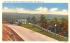 Park Avenue Port Jervis, New York Postcard