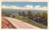 Park Avenue Port Jervis, New York Postcard