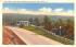 Park Avenue Port Jervis, New York Postcard