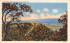 Point Peter Port Jervis, New York Postcard