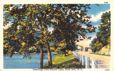 Greetings From Rock Hill, New York Postcard