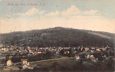 Bird's Eye View Roscoe, New York Postcard