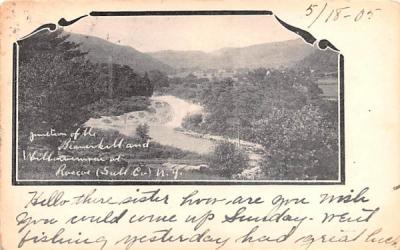 Willoweemoc River Roscoe, New York Postcard