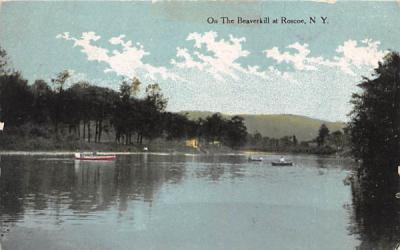 Beaverkill Roscoe, New York Postcard