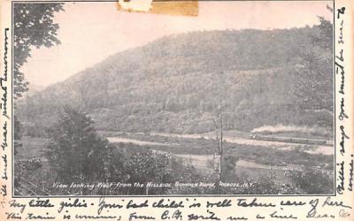 From Hillside Summer Home Roscoe, New York Postcard