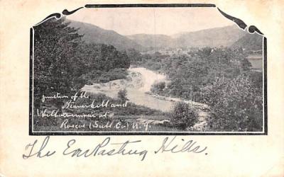 Willowemoc River Roscoe, New York Postcard