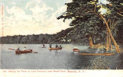 Lake Florence Roscoe, New York Postcard