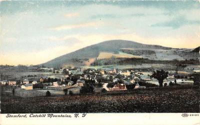 Catskill Mountains Stamford, New York Postcard