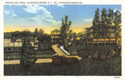 Livingston Manor NY