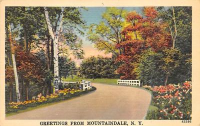 Mountaindale NY