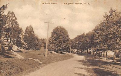 Livingston Manor NY