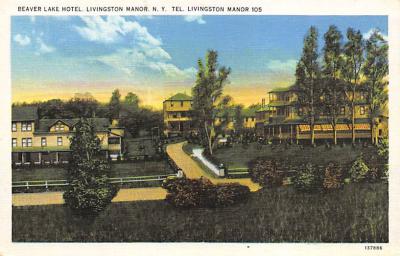 Livingston Manor NY