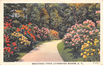 Livingston Manor NY